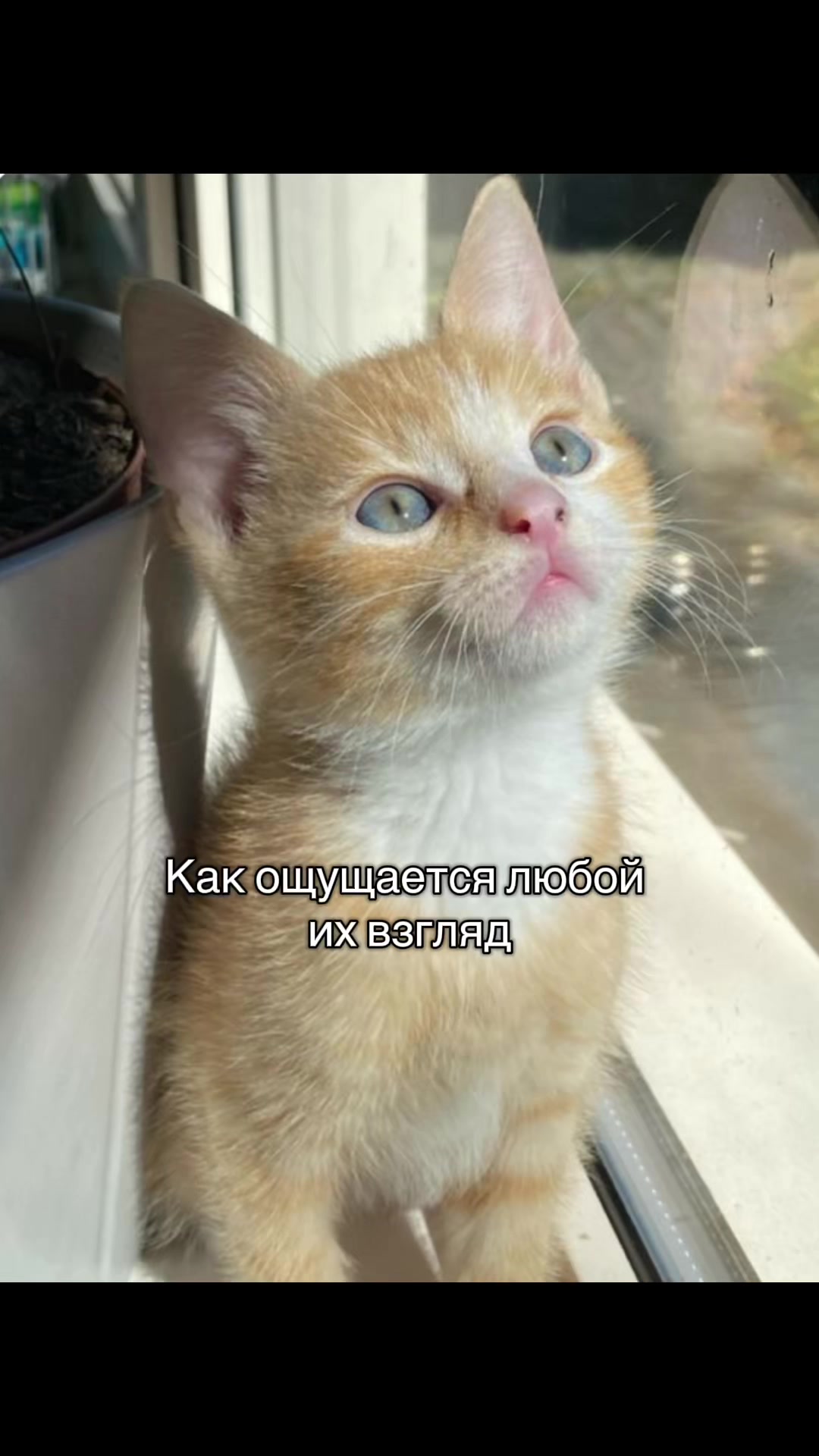 @TGK:MILSIXX