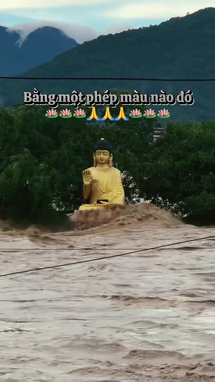 @Hoàng Nam
