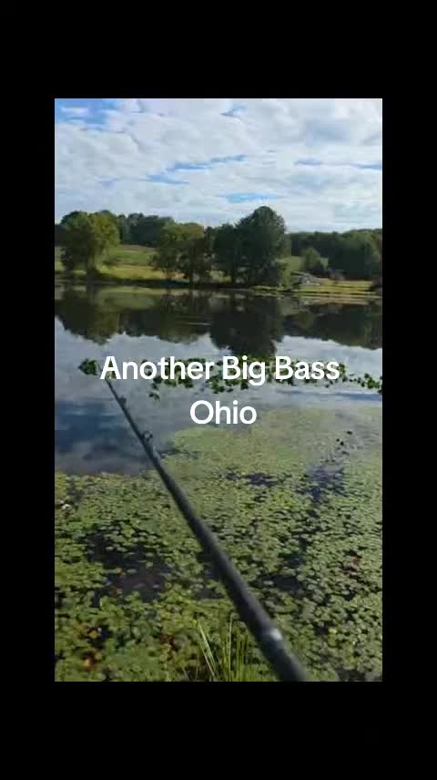 @3dprintedlures FWC
