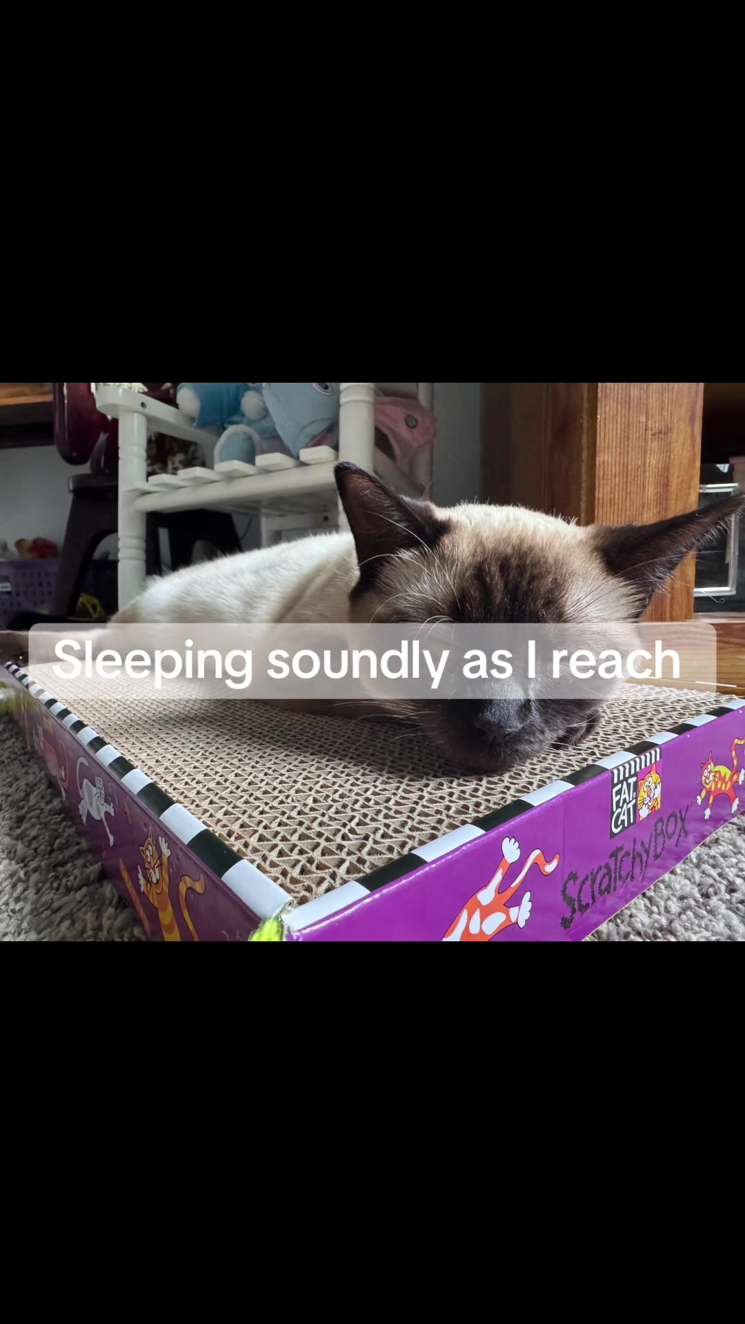 @SkippyJosAdventures