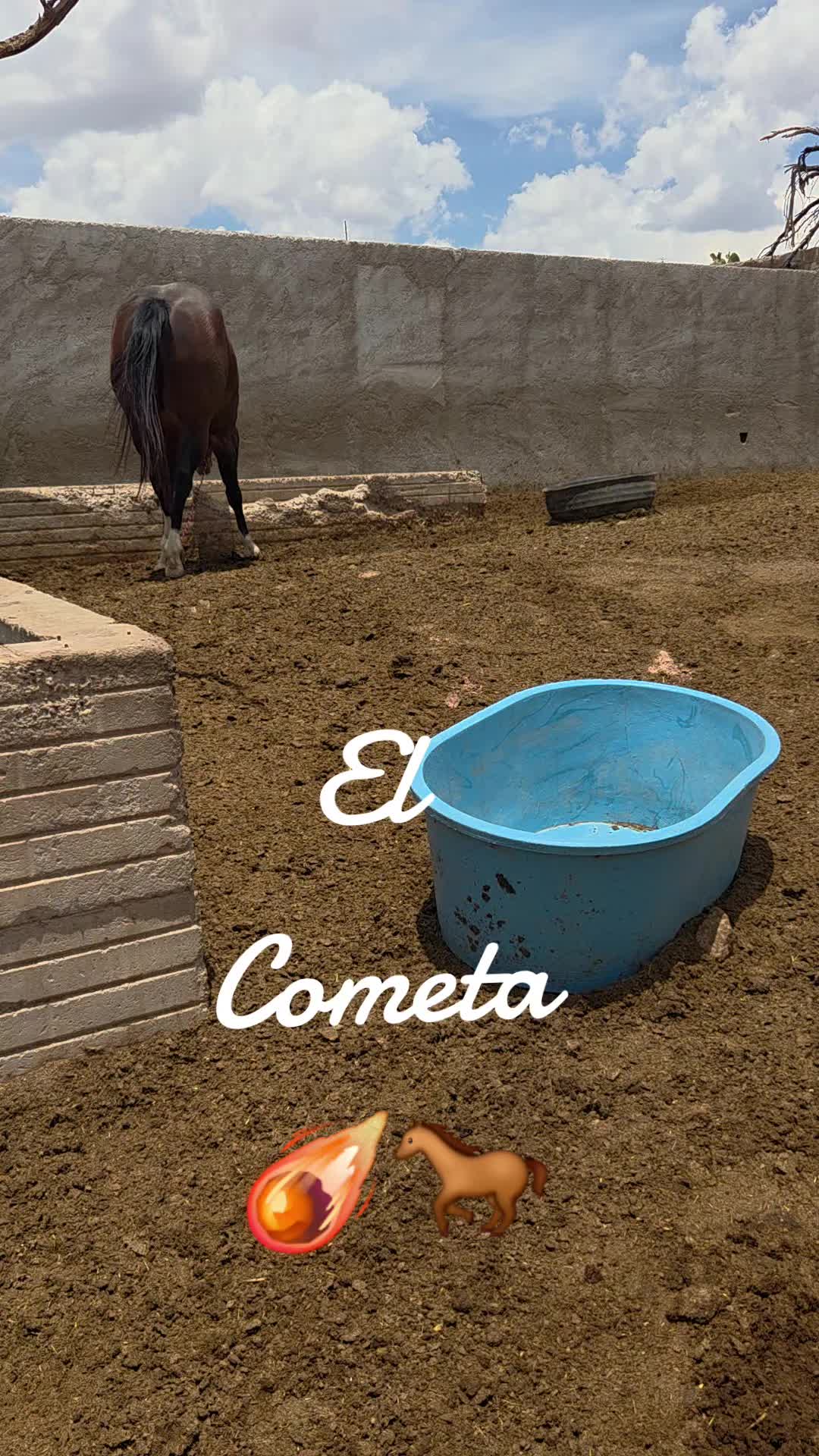 @BarbaCerrada0519