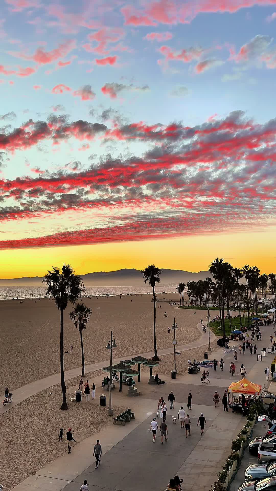 @Venice Beach Boardwalk