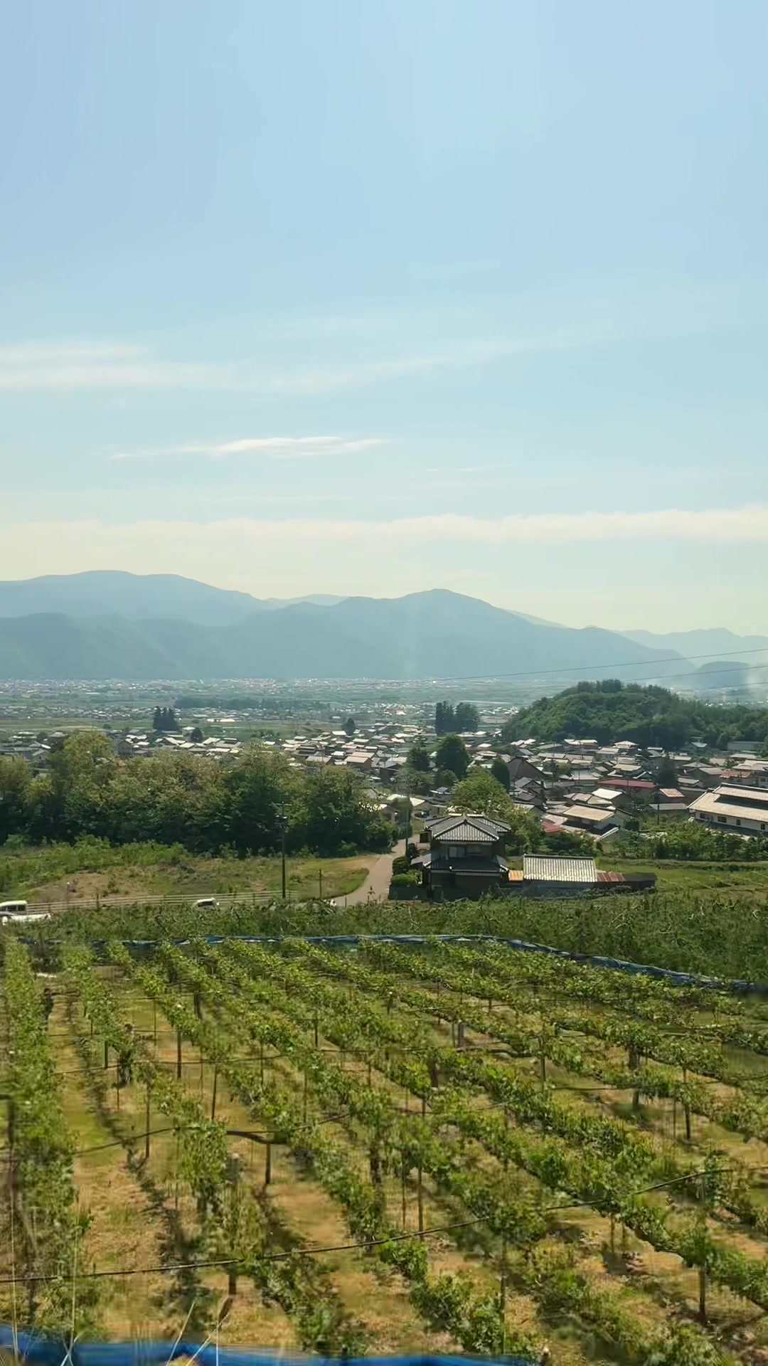 @ちゃりだー