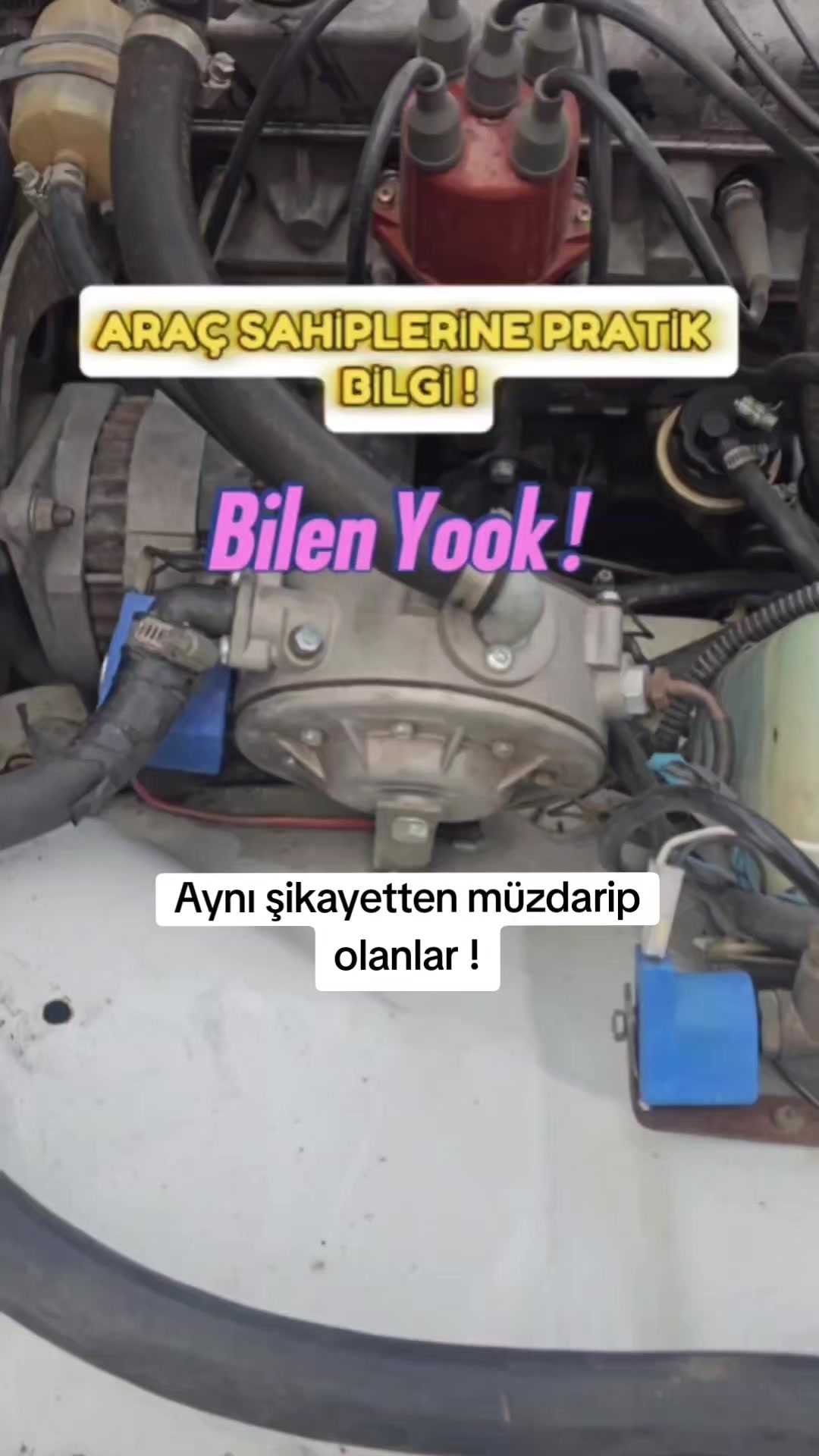 @FENOMEN GAZCI