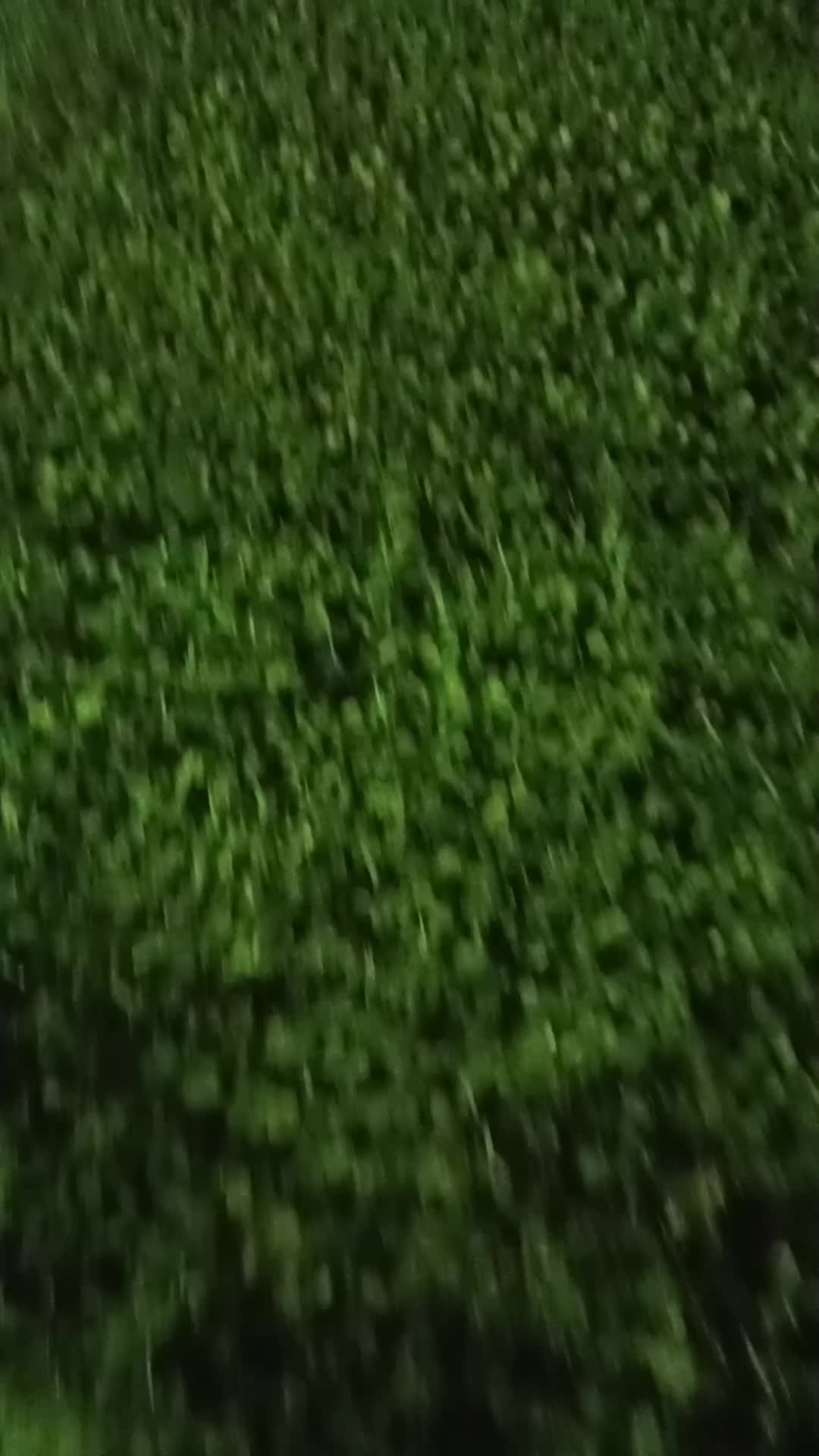 @Paulopauletto