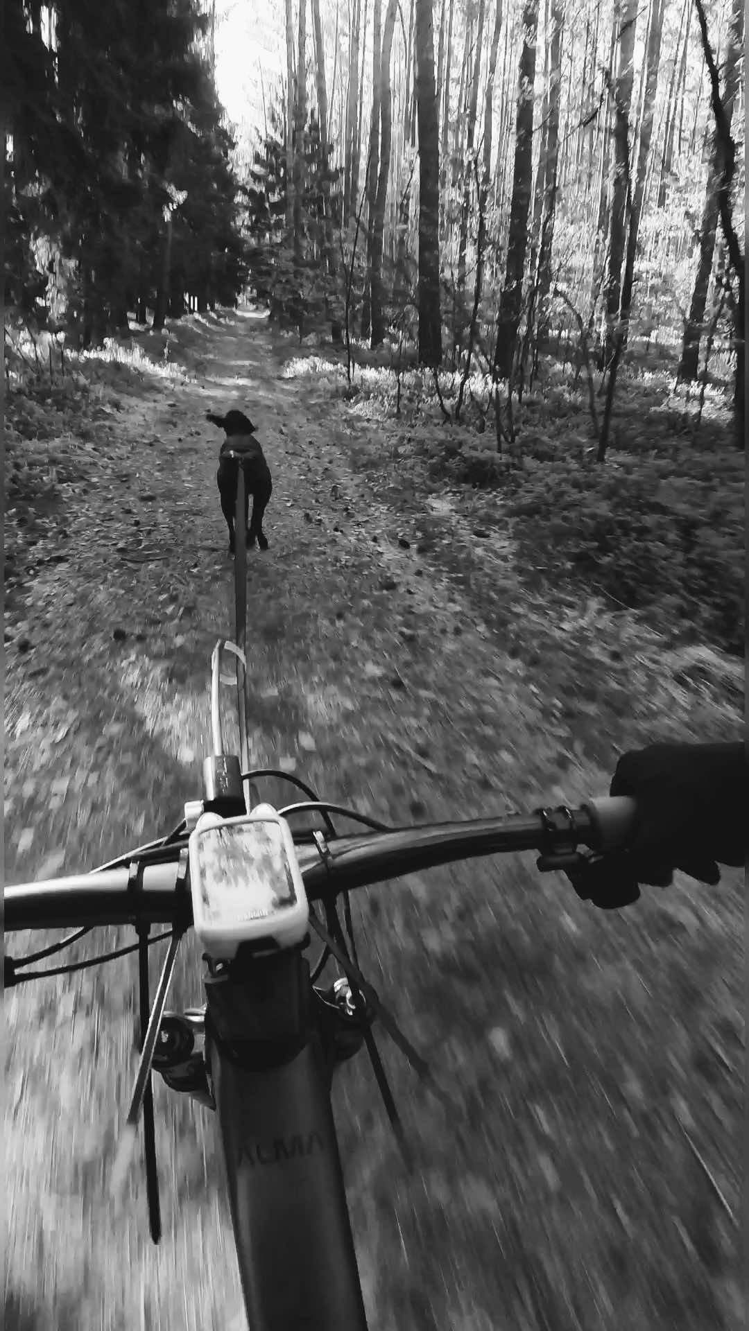 @Agnieszka Ignaszak bikejoring