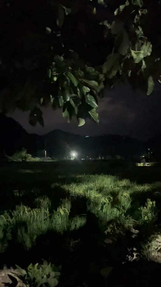 @메추리알