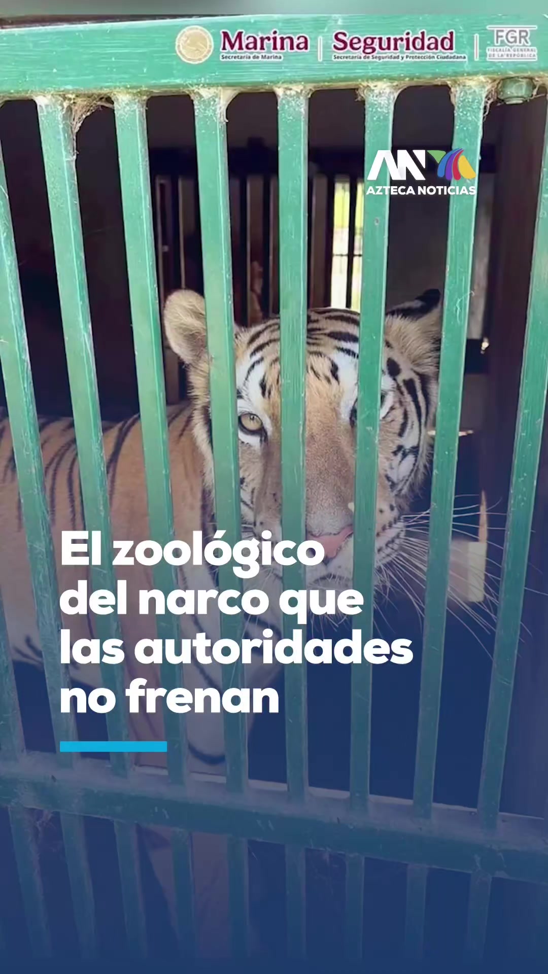 @Azteca Noticias