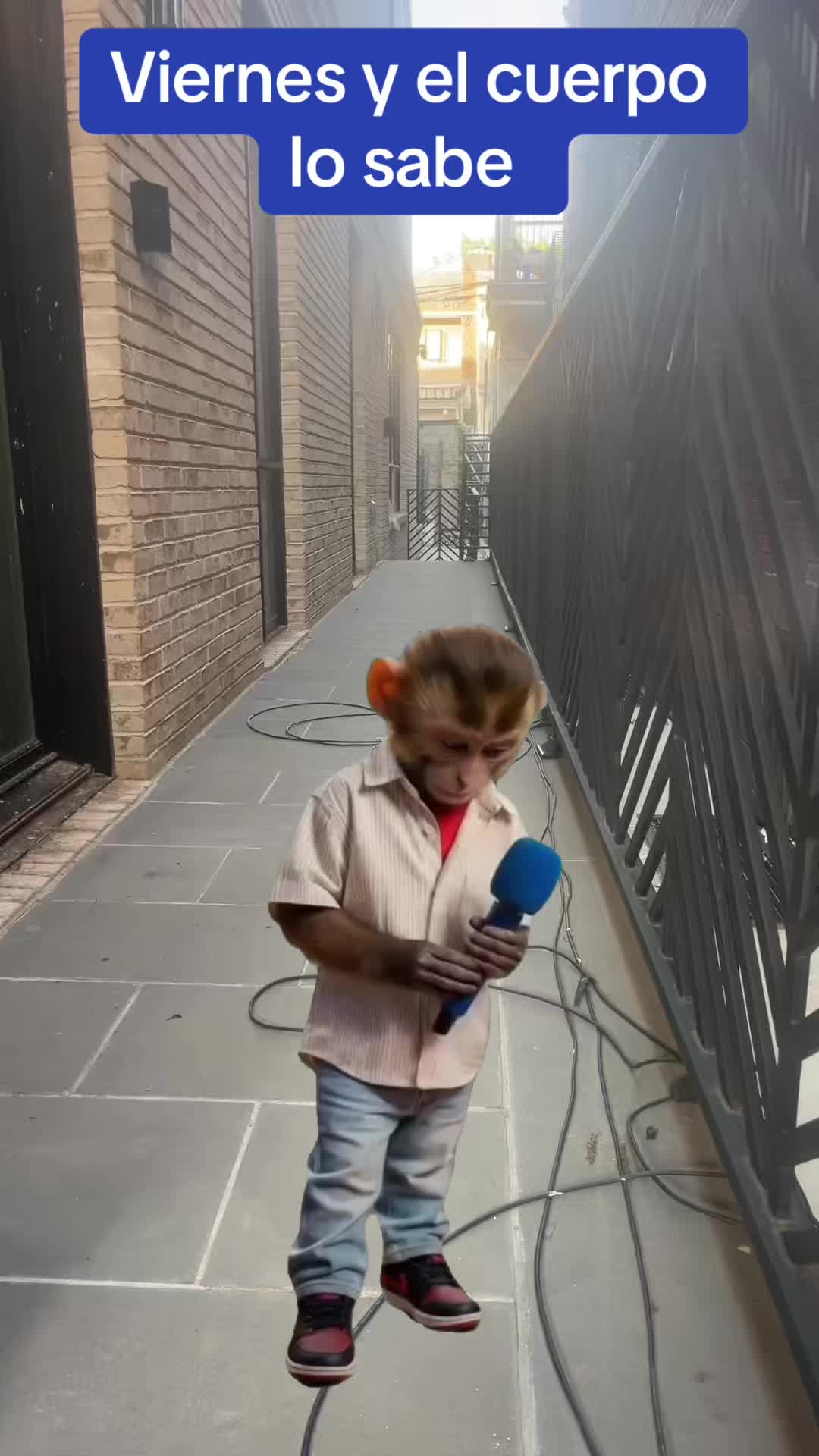 @central87