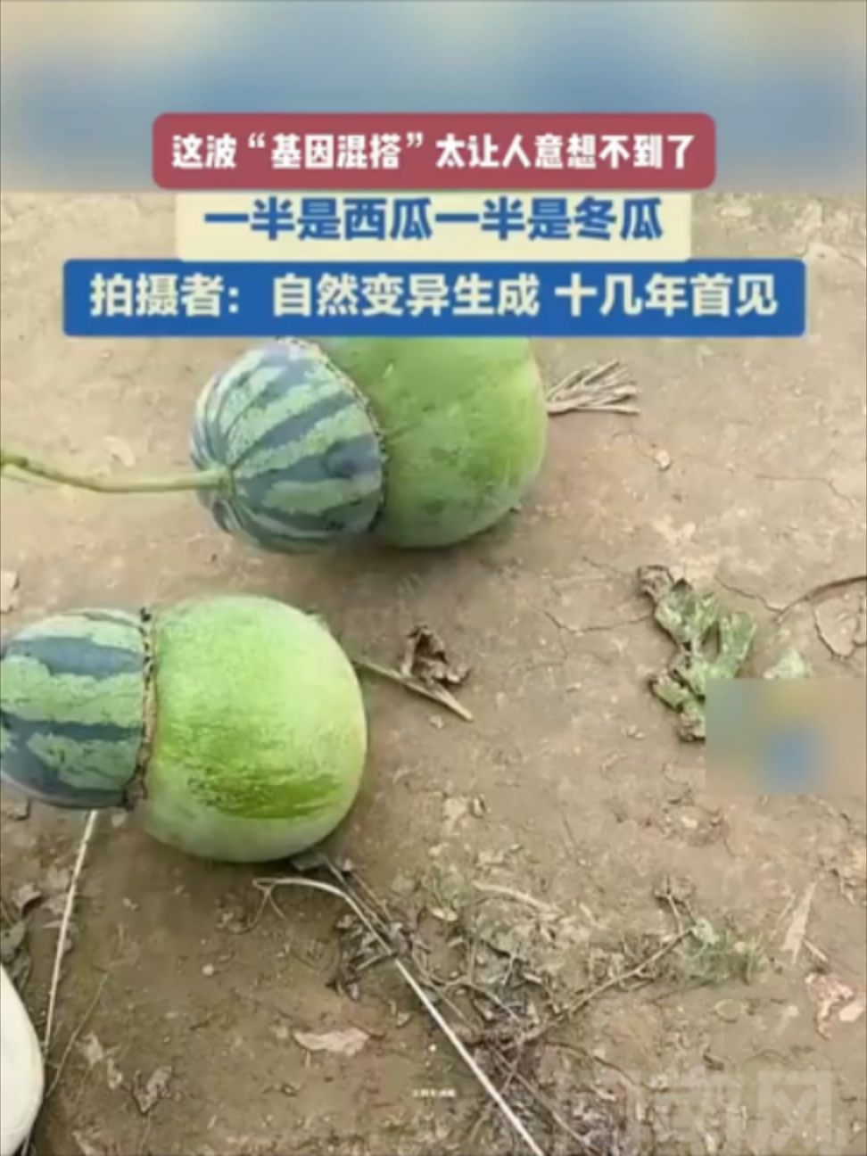 @闽南风~