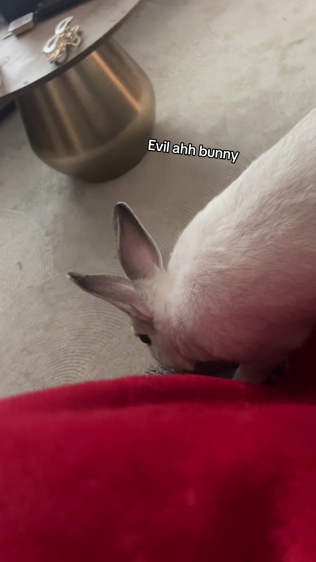 @SoEmmy