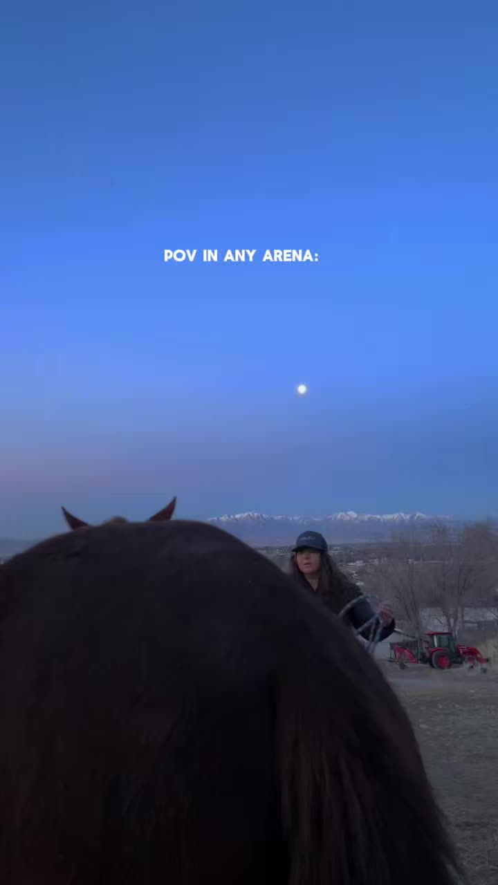 @wild.horsewoman