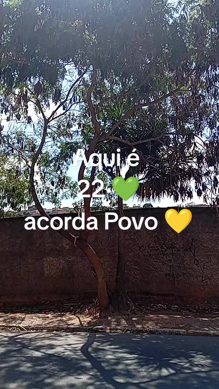 @Aparecida Batista
