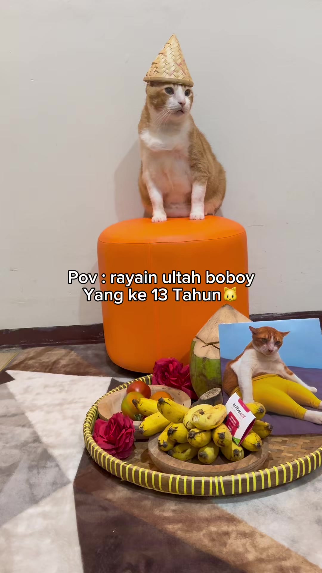 @drh. Ricky Halim dan Sashi