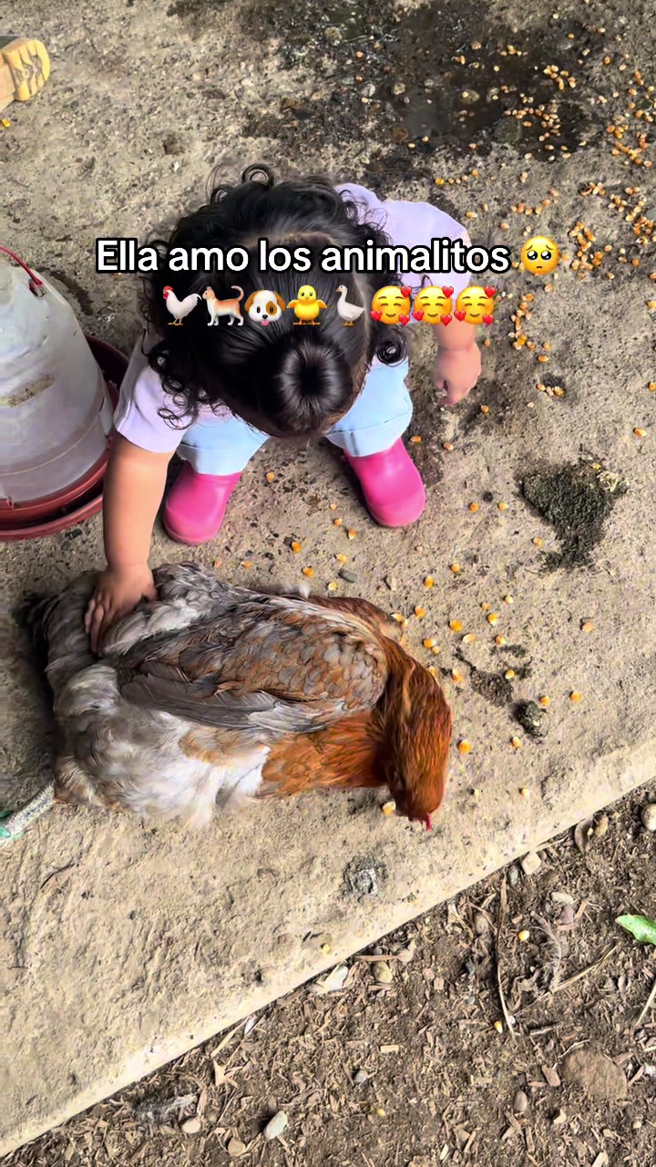 @D A N I E L A ✨🧸✨