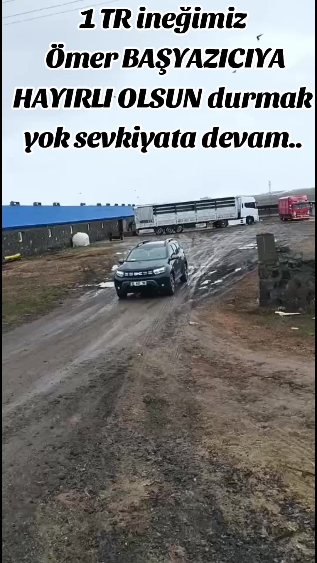 @Mıraz Demir