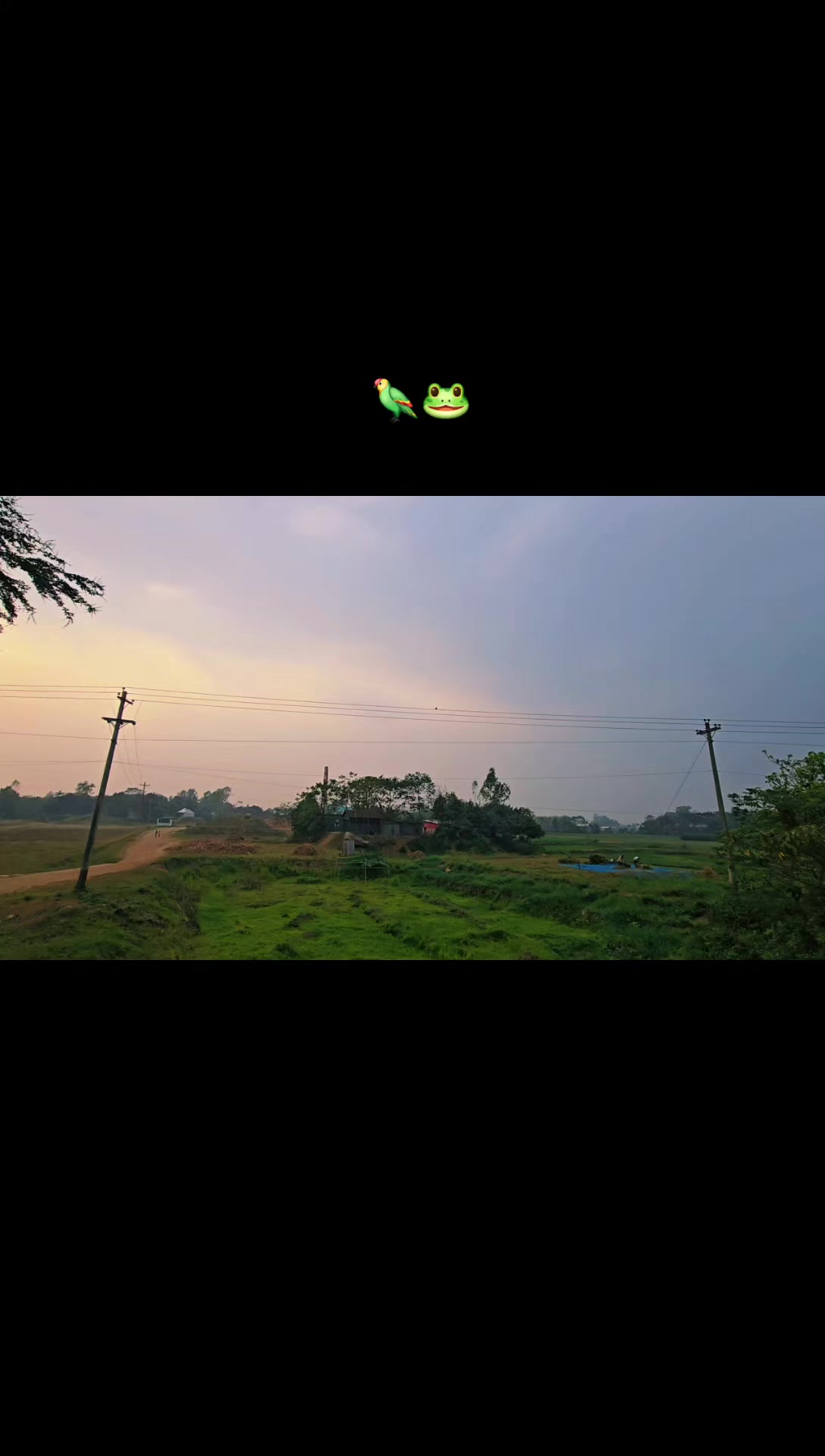 @আই মিস ইউ পাখি 🕊️❤️&zwj;🩹