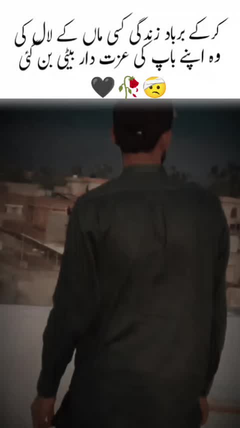@Zaini ladla🪑🪑