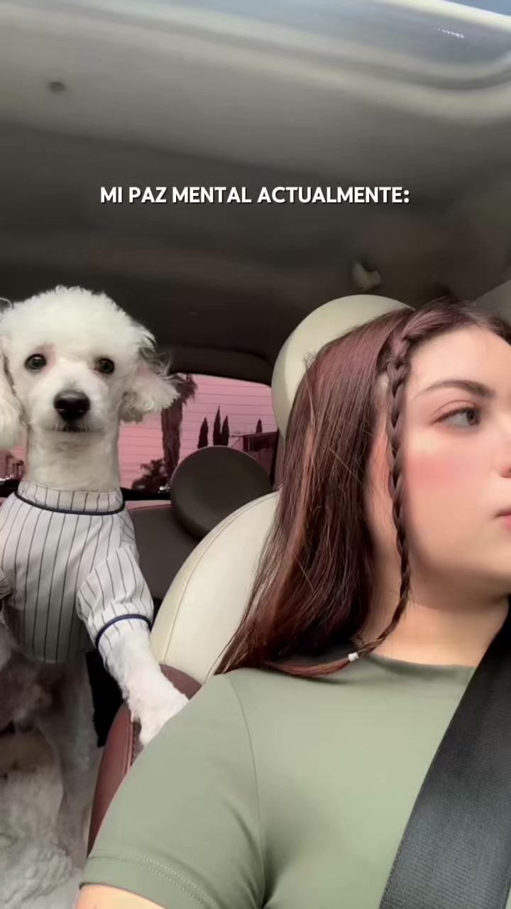 @NIRVANA🧸