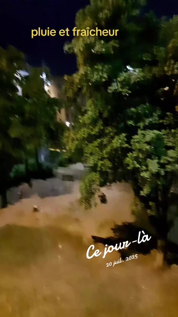 @lalu