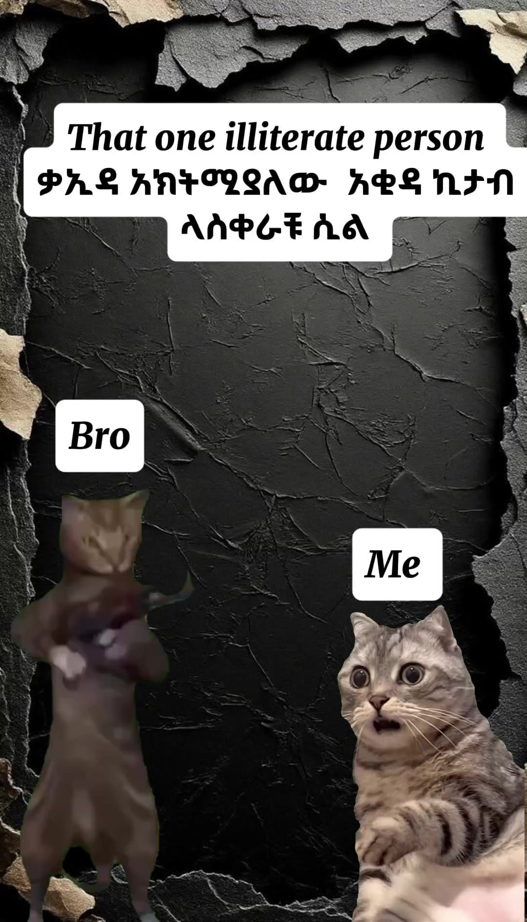 @řocky👨&zwj;✈️