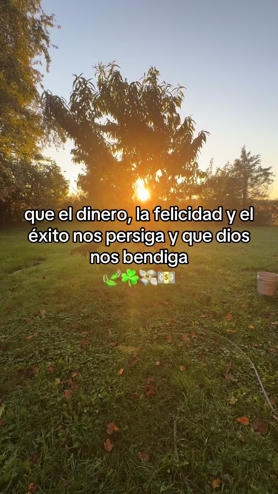 @frasesmotivadoras_777