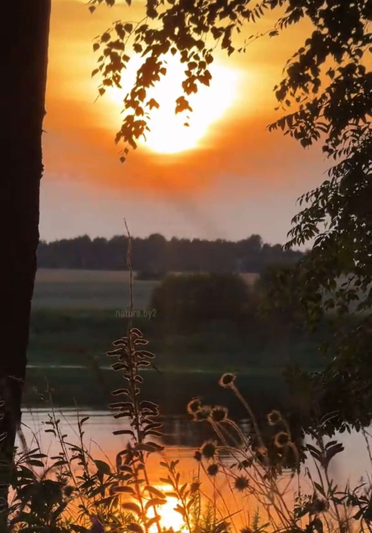 @nature.by2
