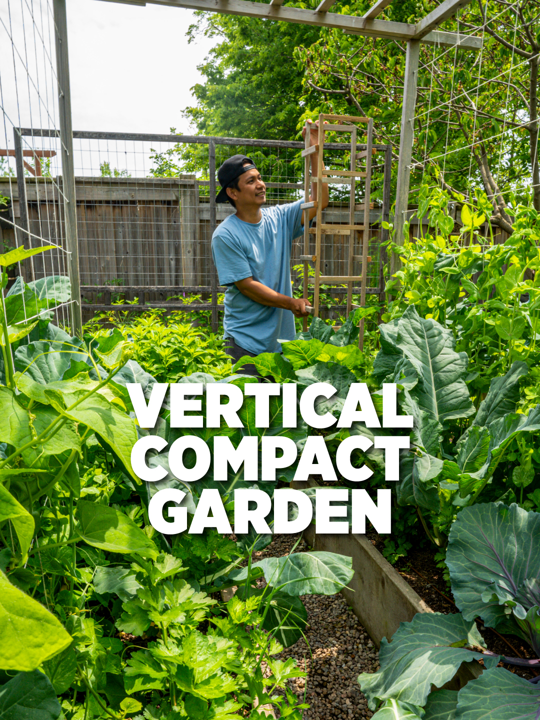 @Planted in the Garden