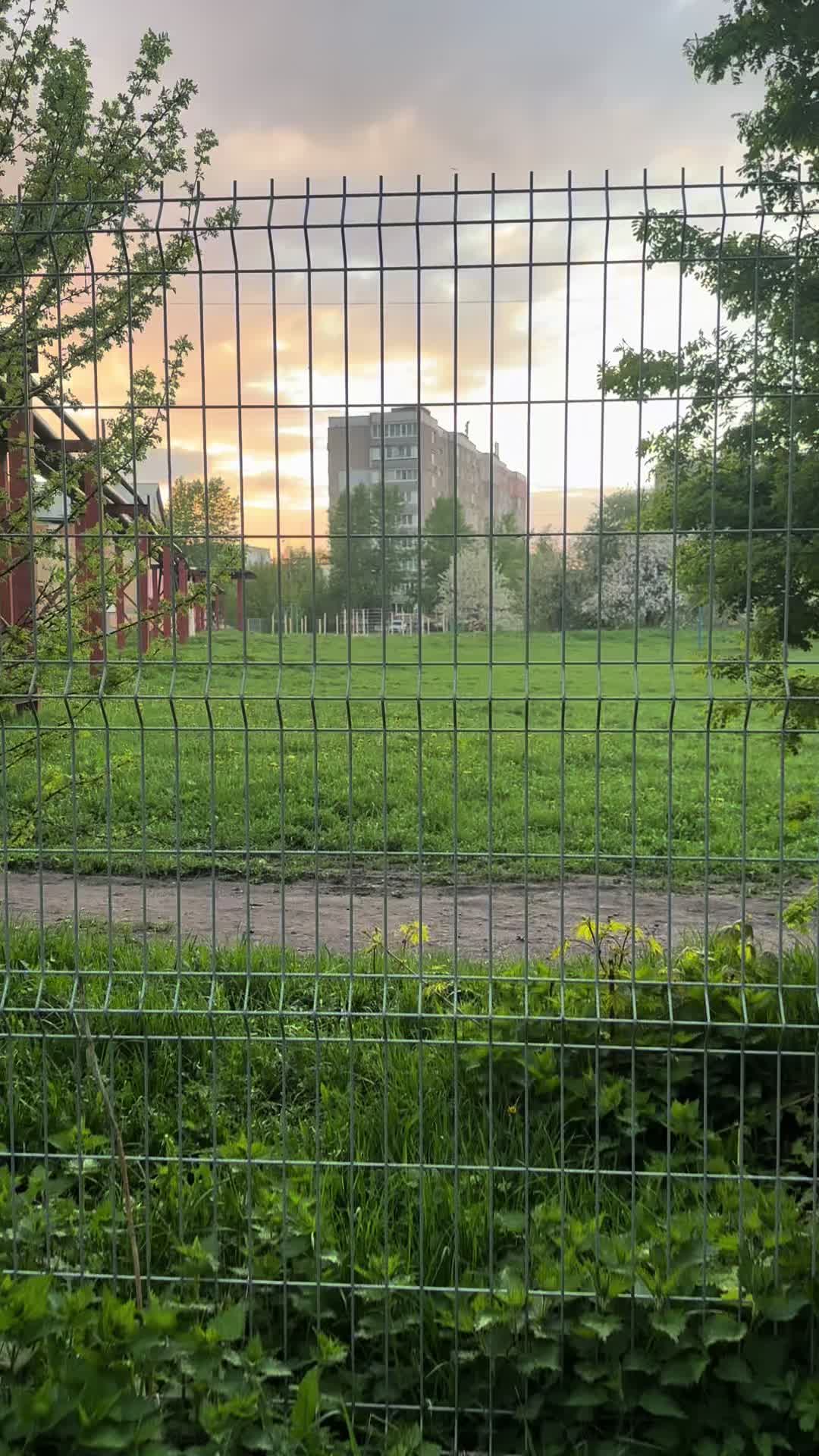 @лпшка