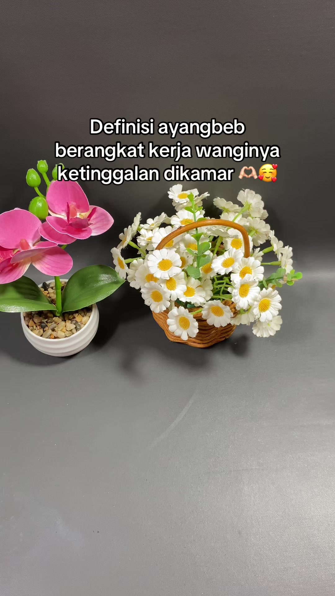 @Sinta.Nai