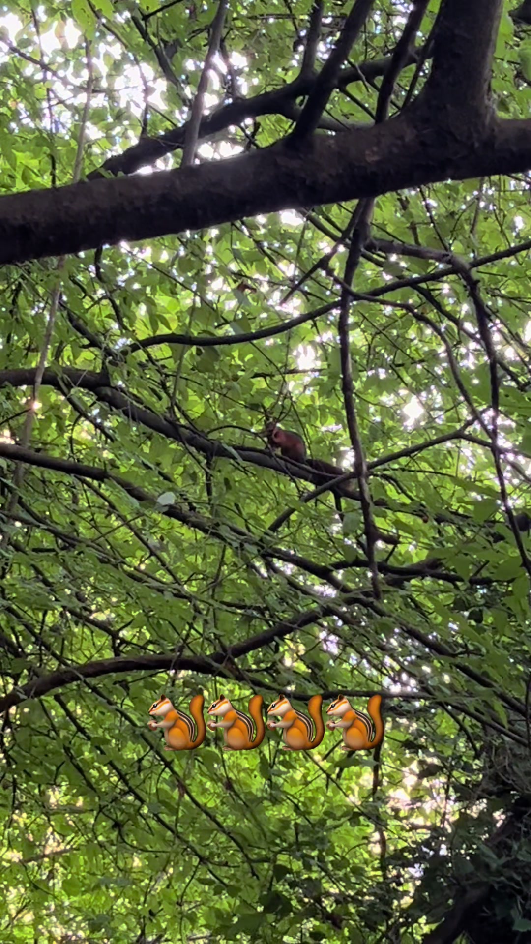 @Emirin Hayalhanesi ⛰️🐶🦅🏍️