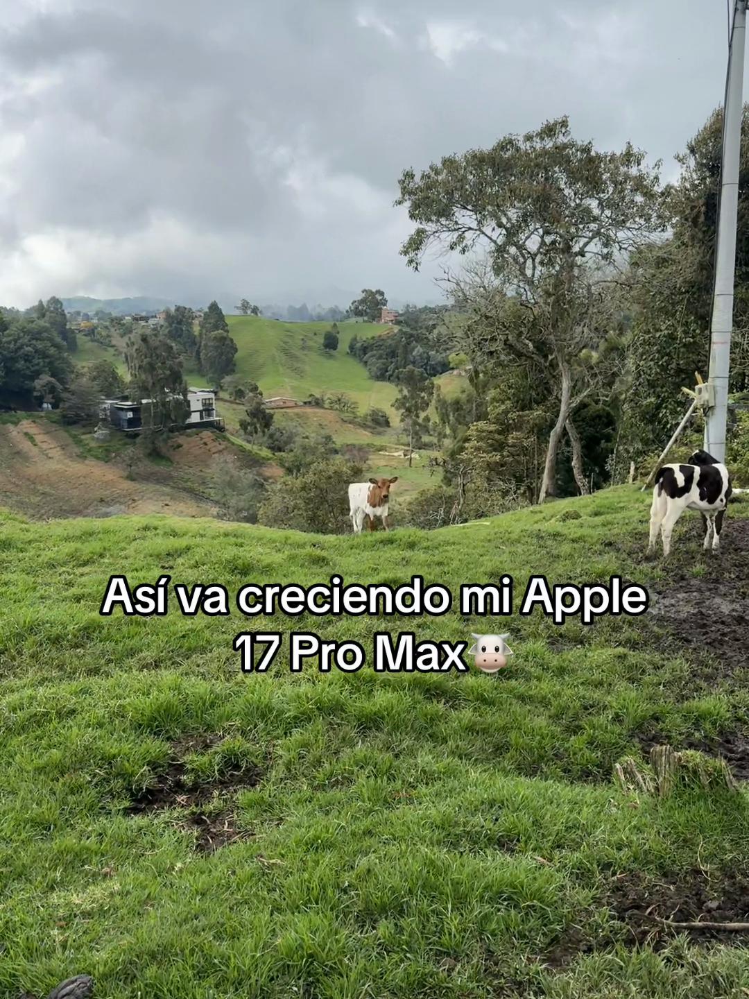 @Miguel Arango