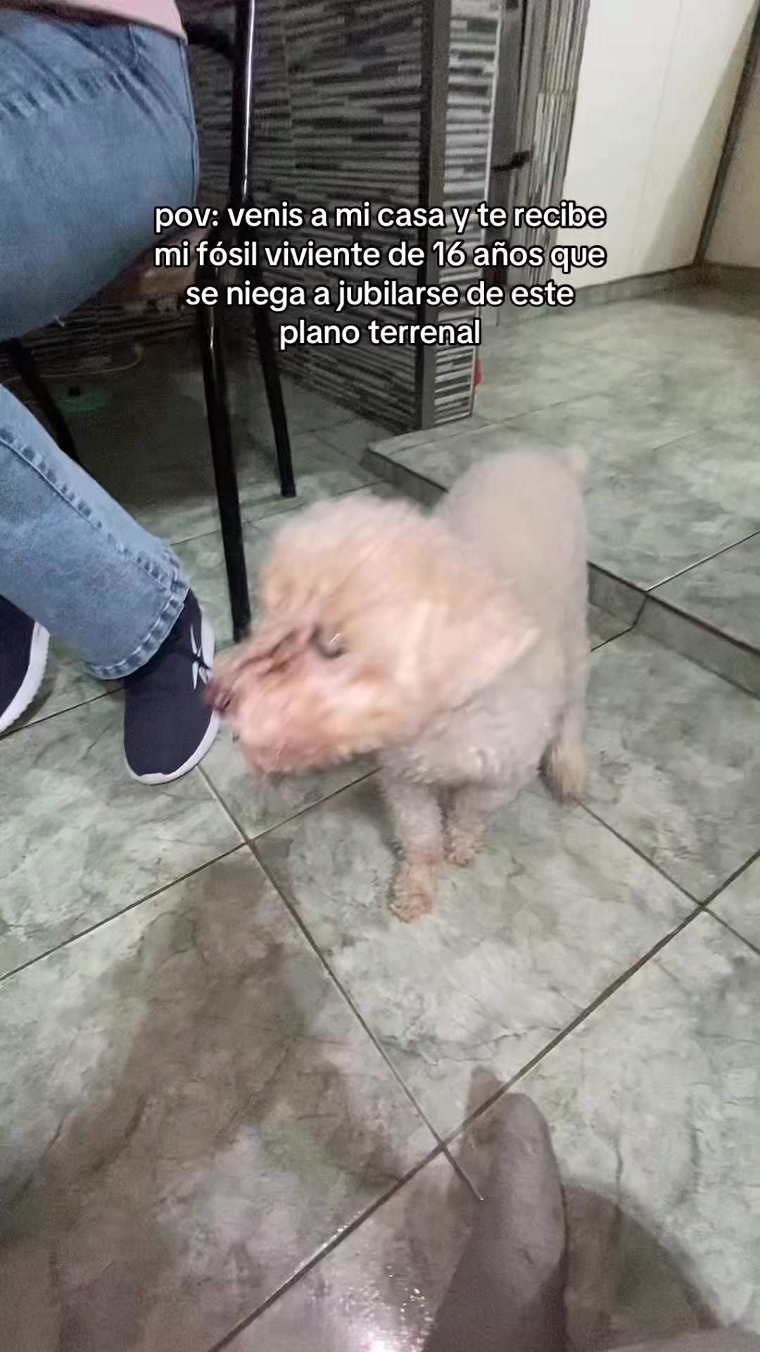 @𝓿𝓲𝓴𝓾𝓬𝓪
