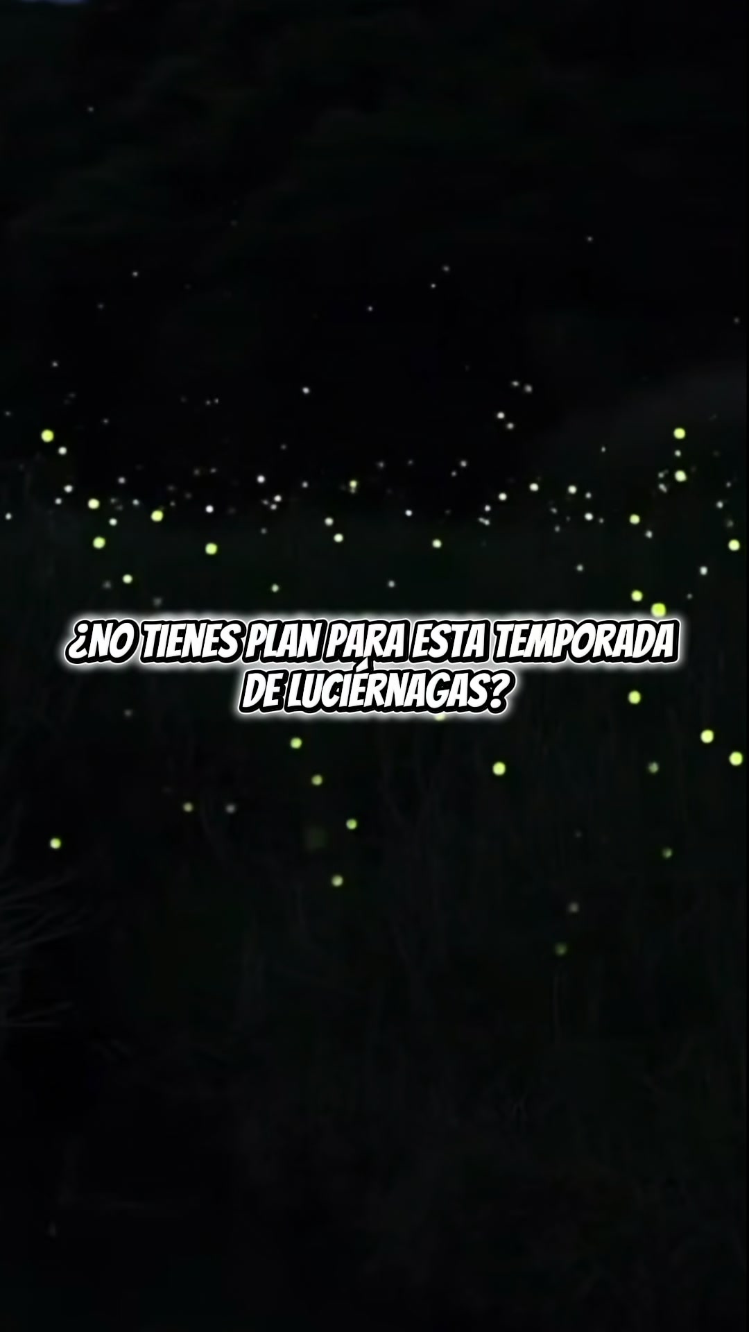 @Pueblaengrande