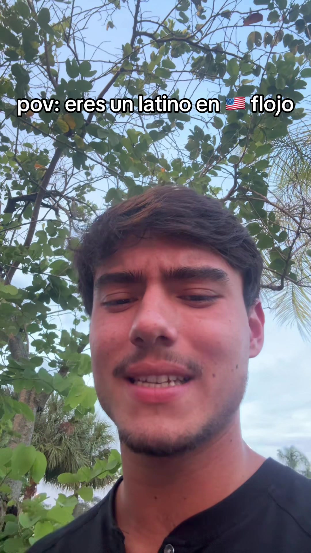 @mendiolaenusa