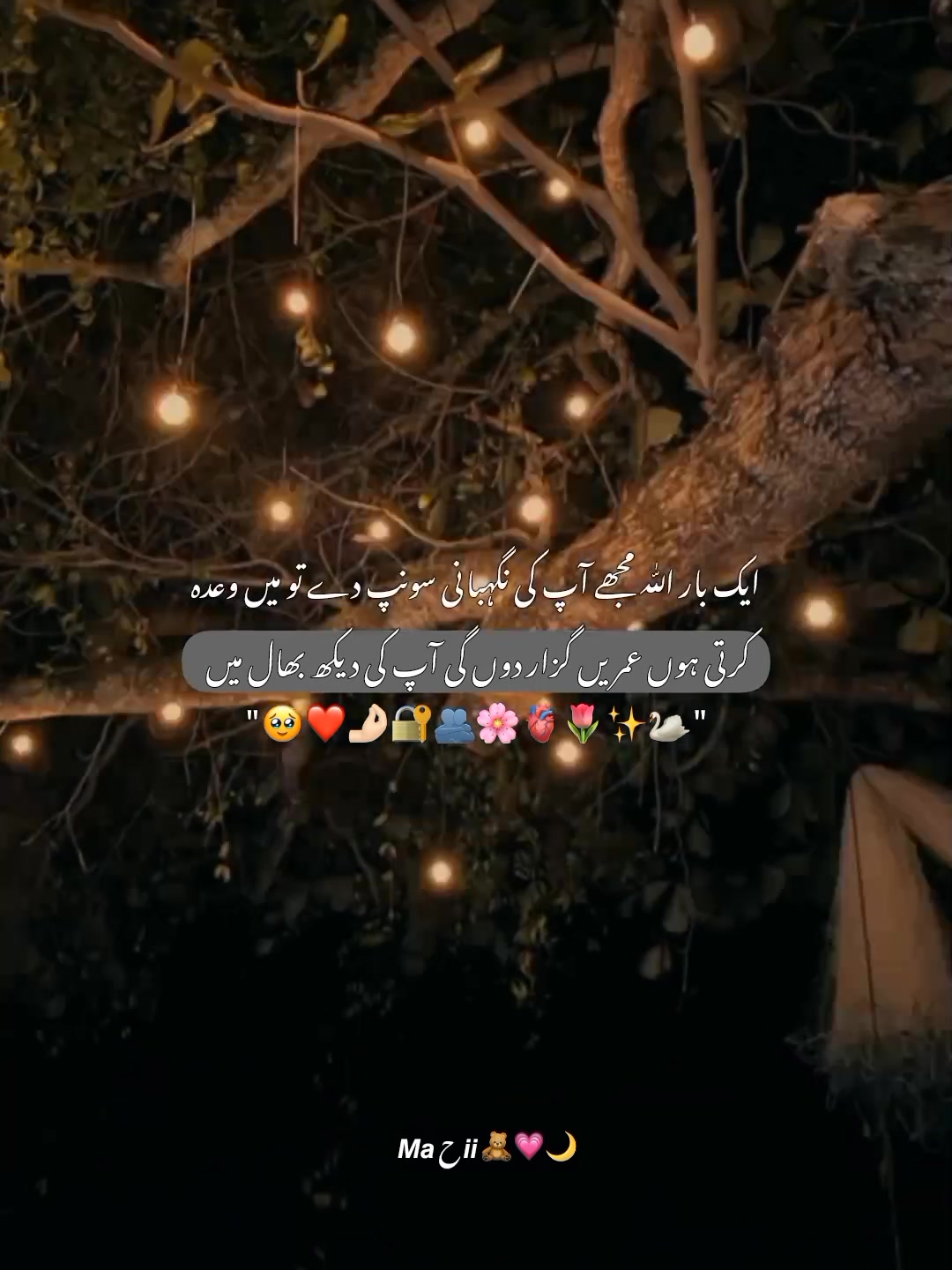 @★𝙈𝙖ح𝙞𝙞ᥫ᭡🧸💗🌙