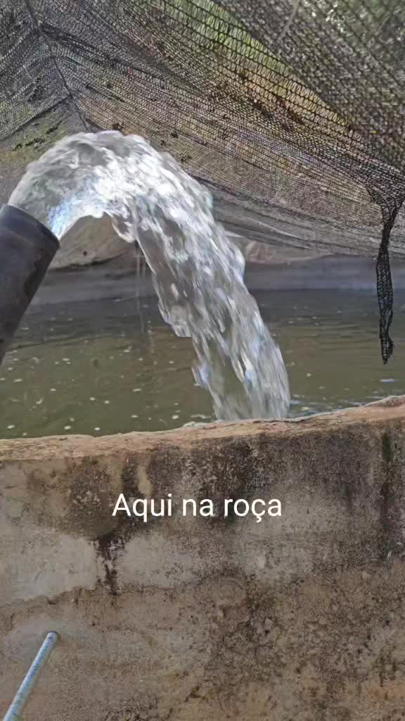 @zemarcos