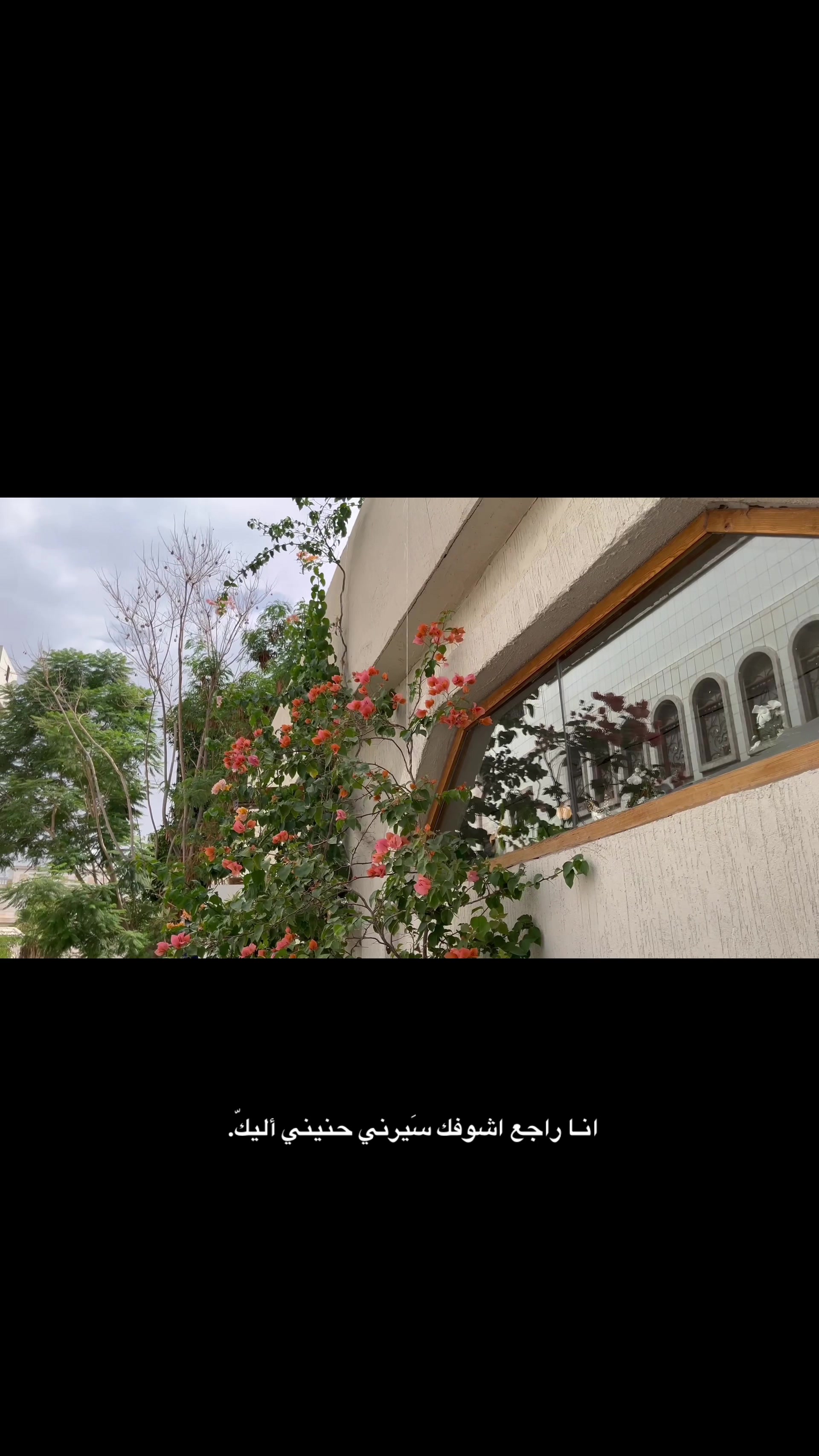 @سَ ˚˖𓍢ִ໋🦢˚