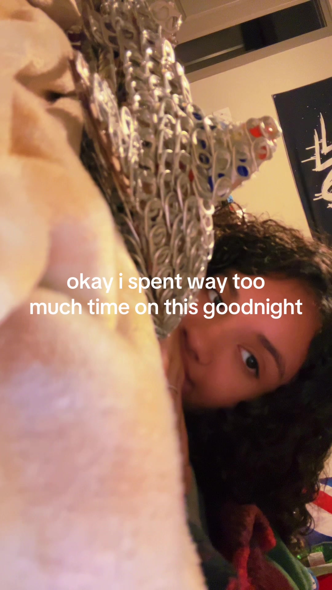 @BRIN (felony steve’s version)