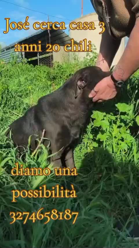 @Zito Calogera