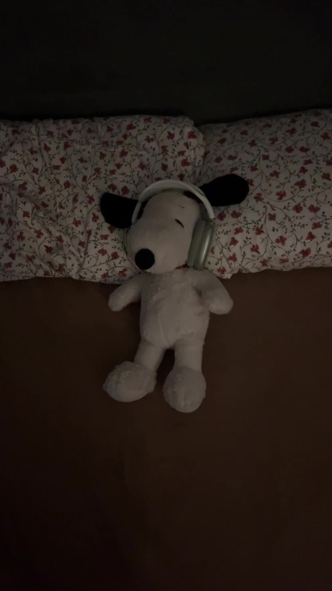 @snoopy