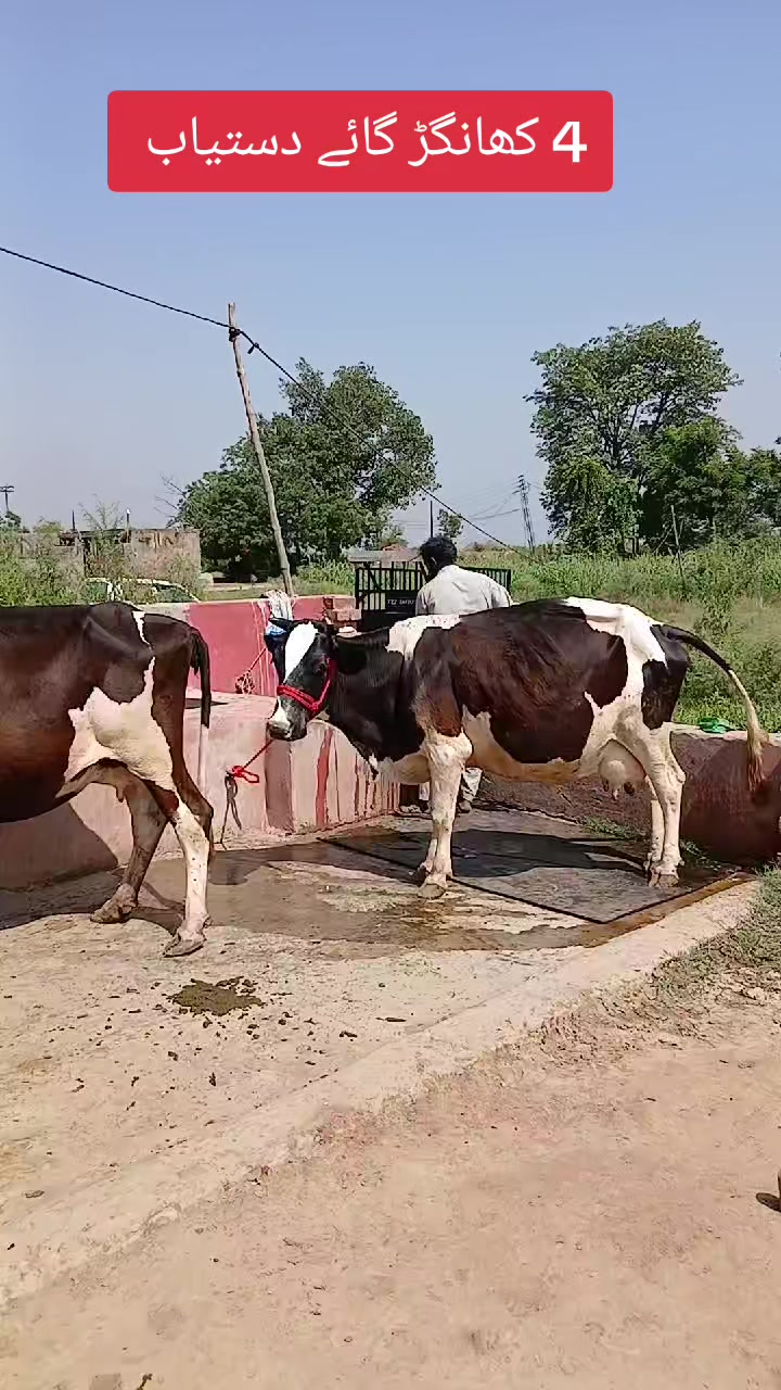 @Farming and Business Ideas