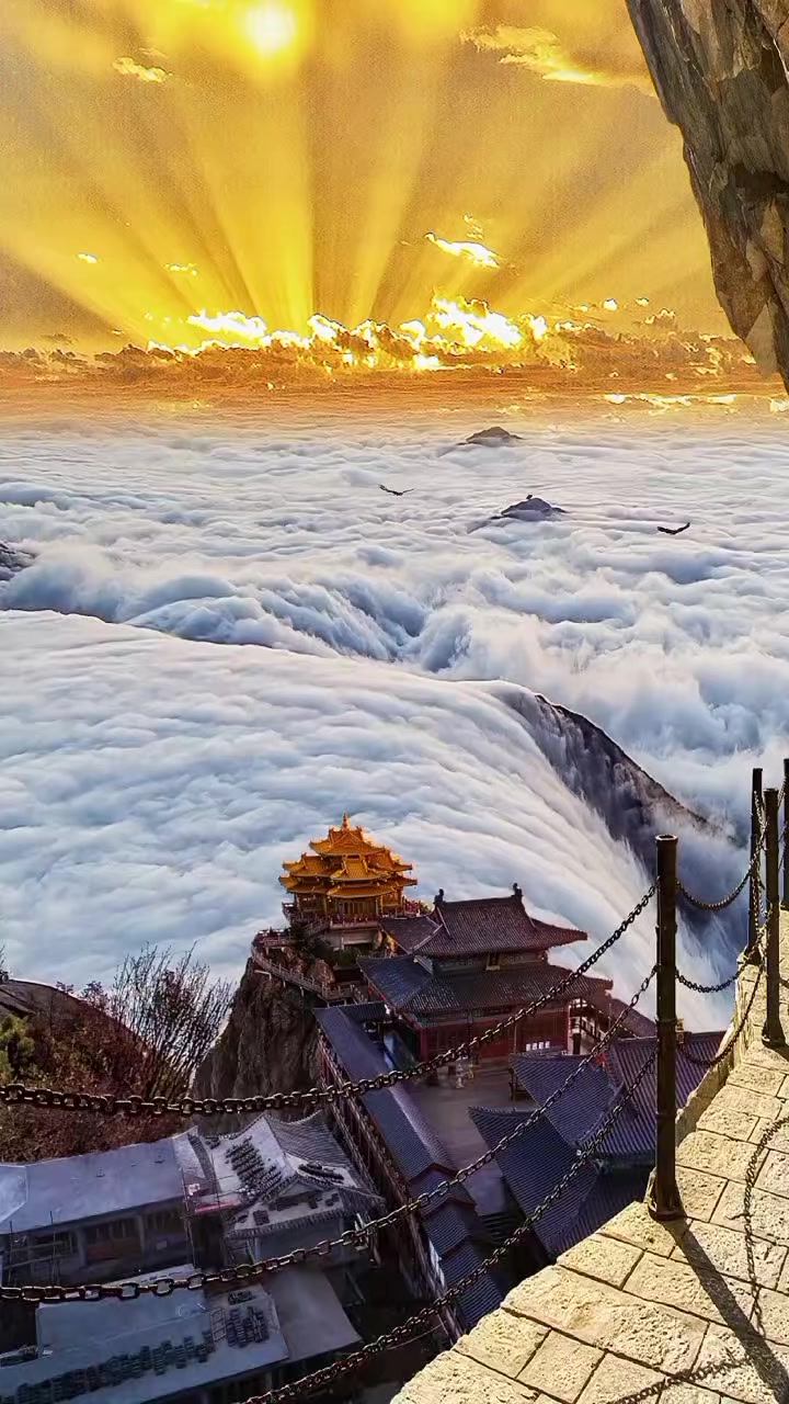@陈实 🌊