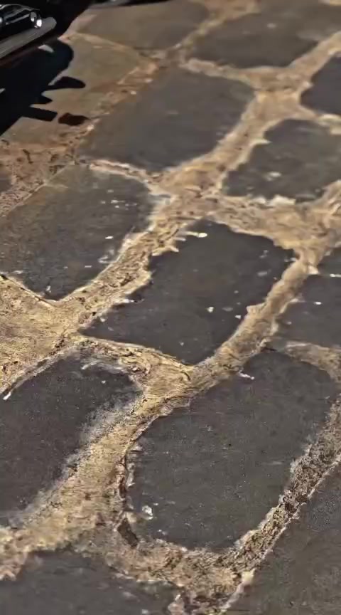 @abdulzlen