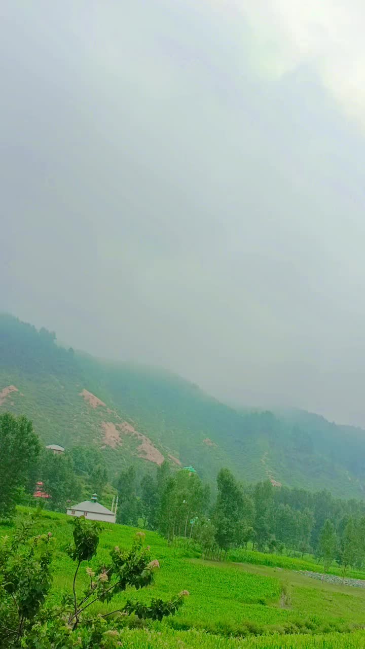 @꧁{𝑺𝑨𝑳𝑨𝑹}꧂