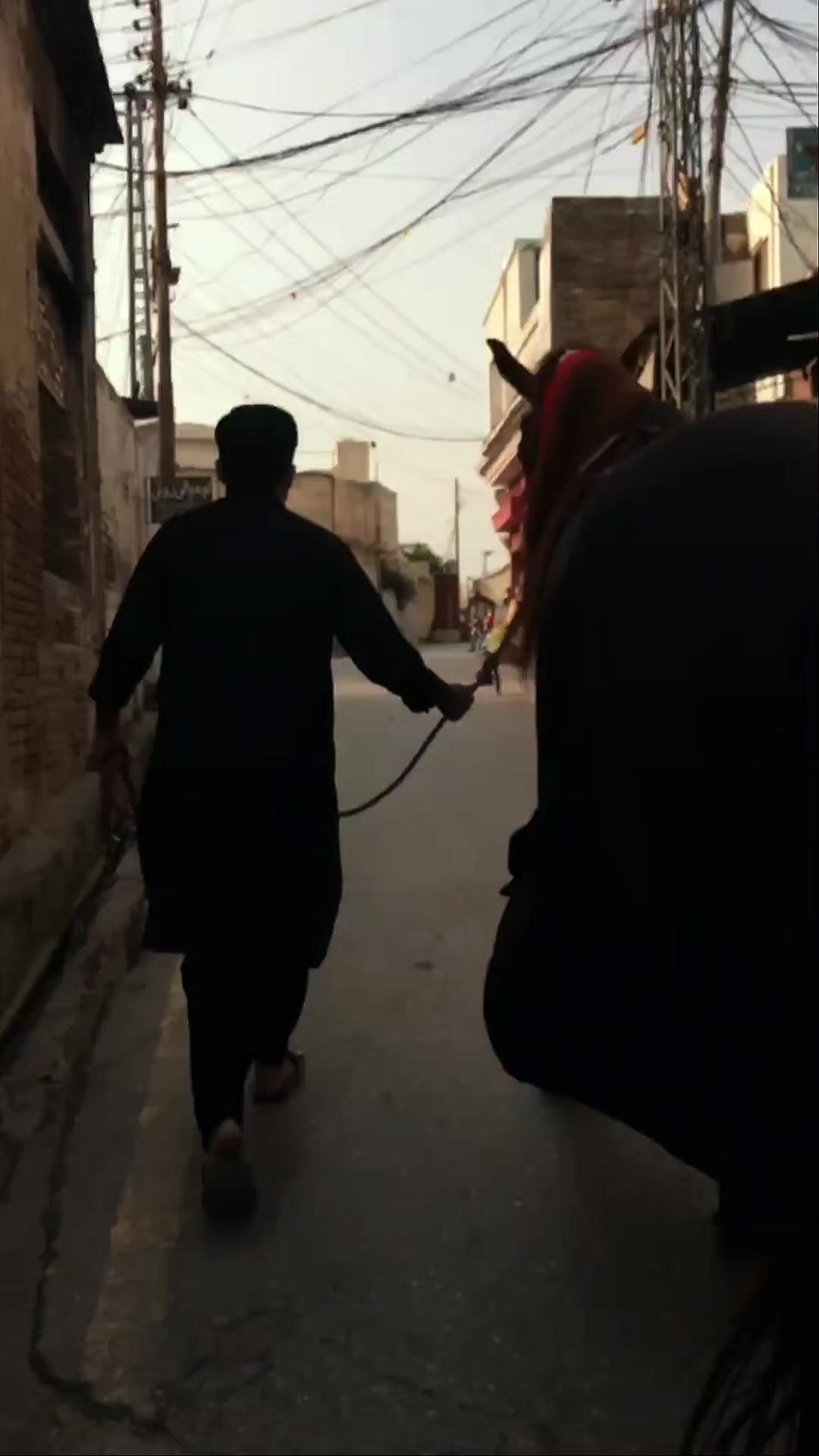 @مرکزی ذوالجناح تلہ گنگ
