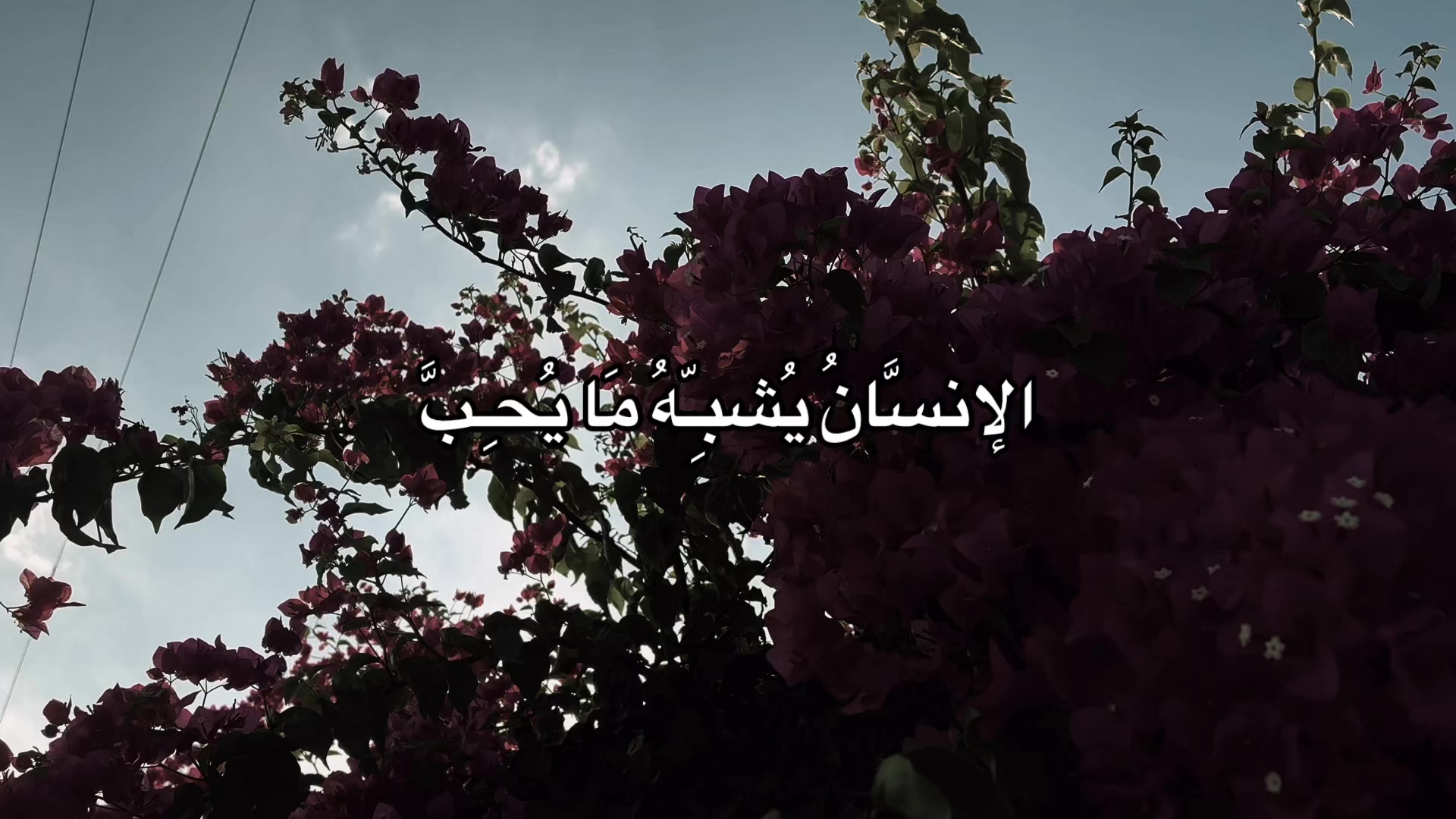 @هدوء