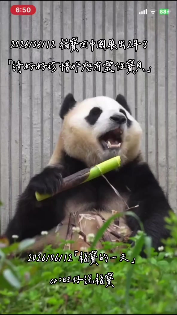 @福寶需要愛的抱抱