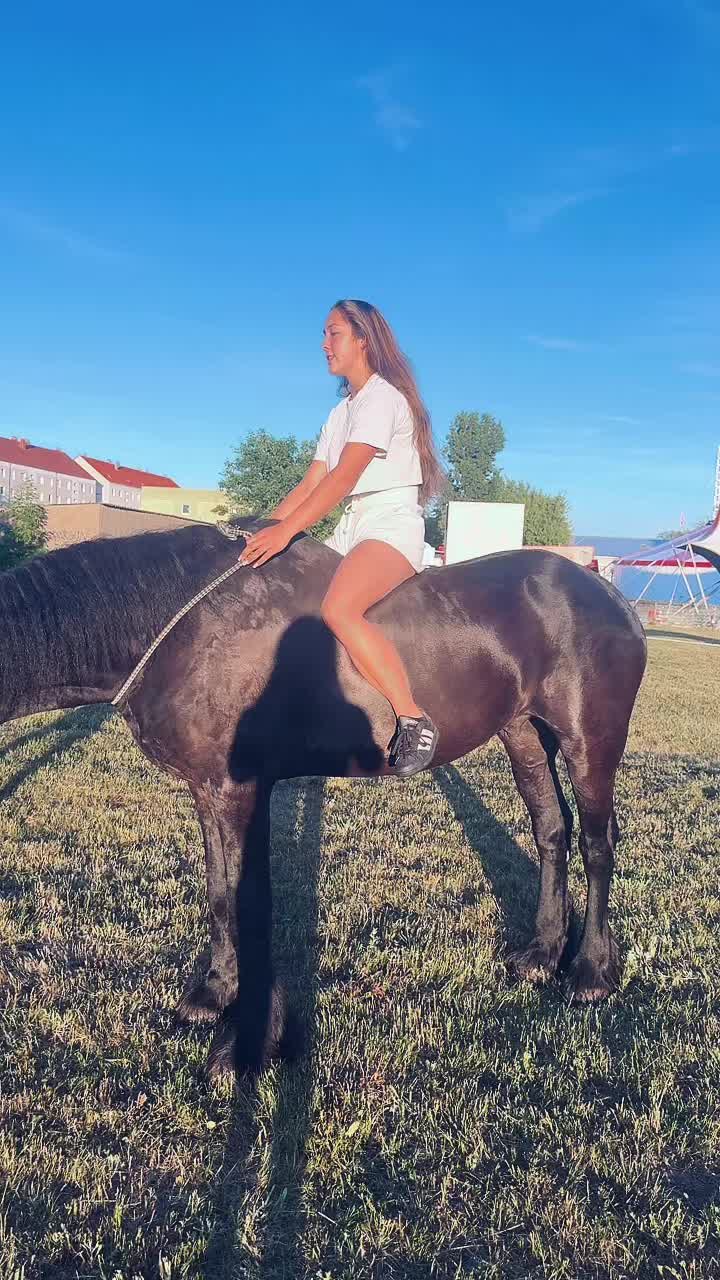 @Horses