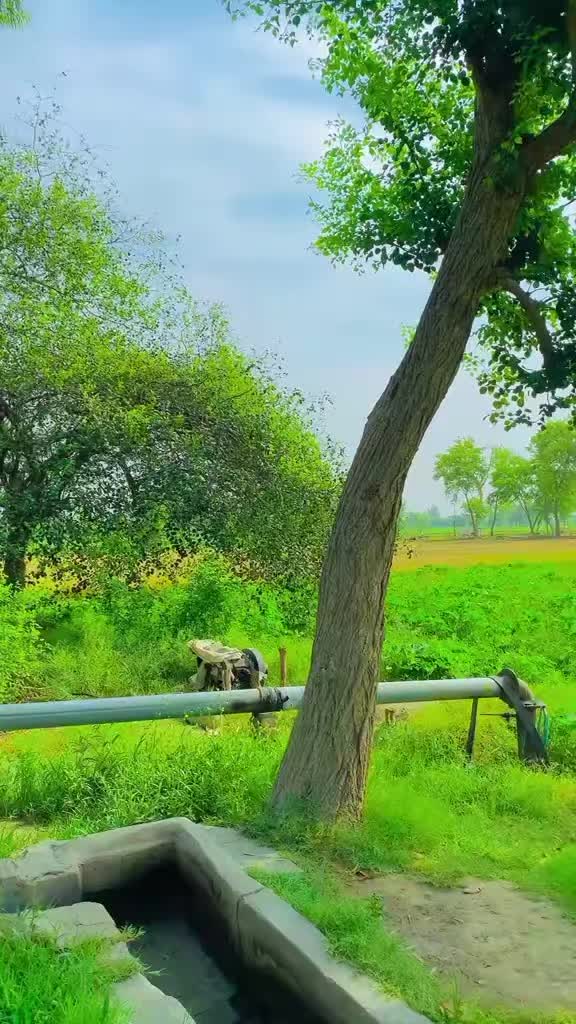 @Irtaza 267
